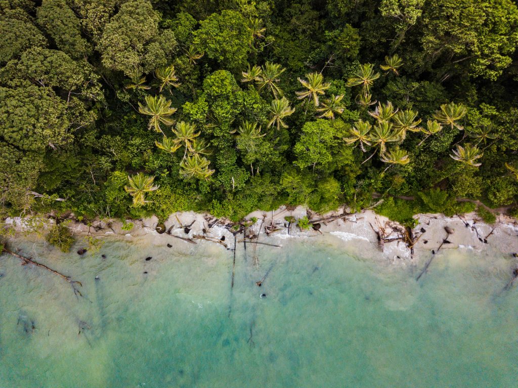 beach in costa rica