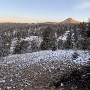 Florissant, CO – 13 Acres